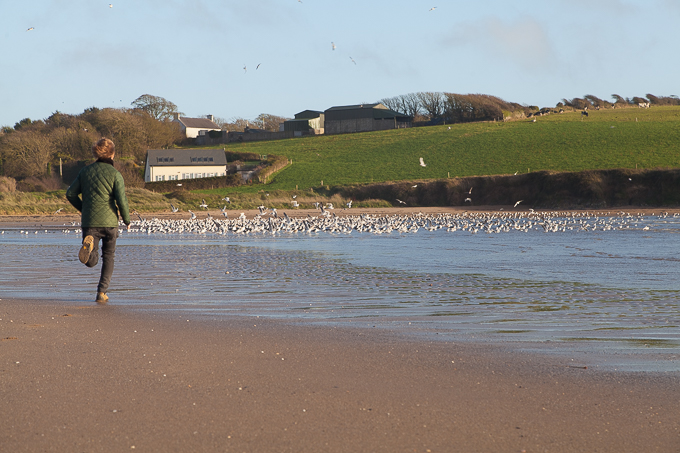 Ireland Nov 2015 (11)